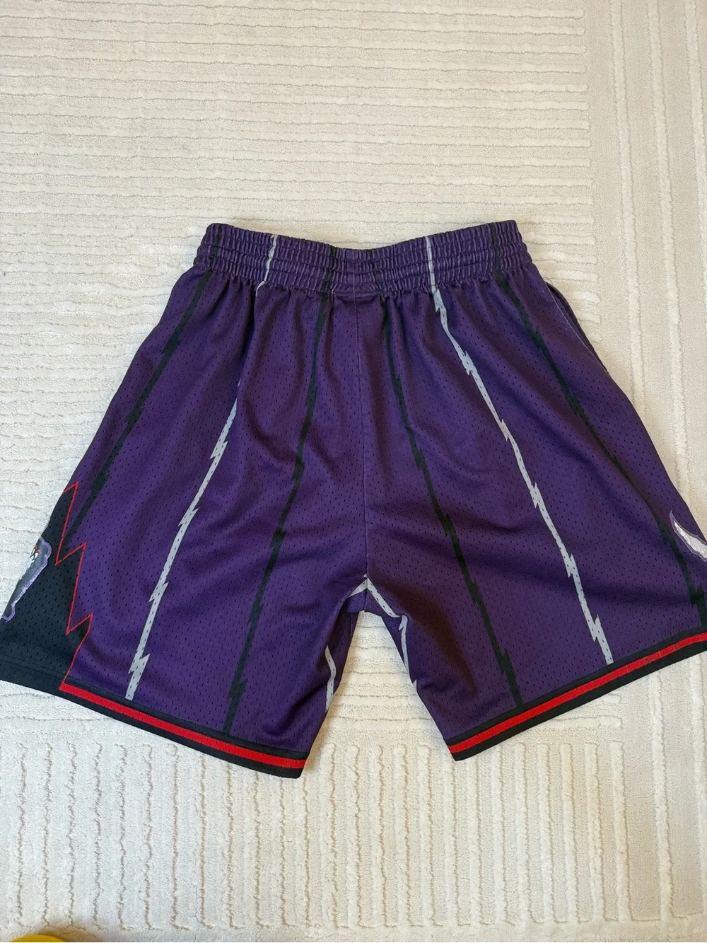 Mitchell & Ness Toronto Raptors 1998 Swingman Shorts Purple Size Large NBA HWC